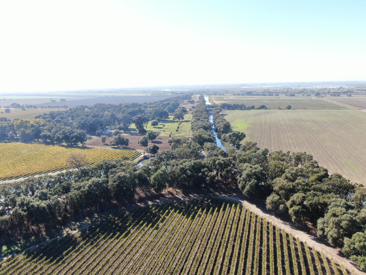 50725 Babel Slough Road Clarksburg, CA 95612 - Photo 12 of 19