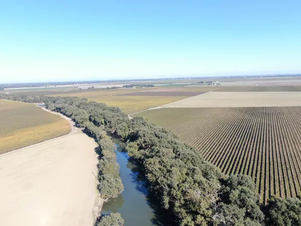 a view of a yard with plants and trees