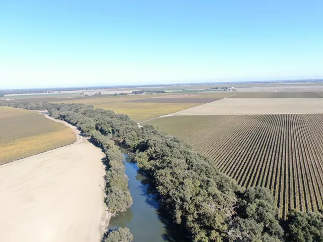 a view of a yard with plants and trees