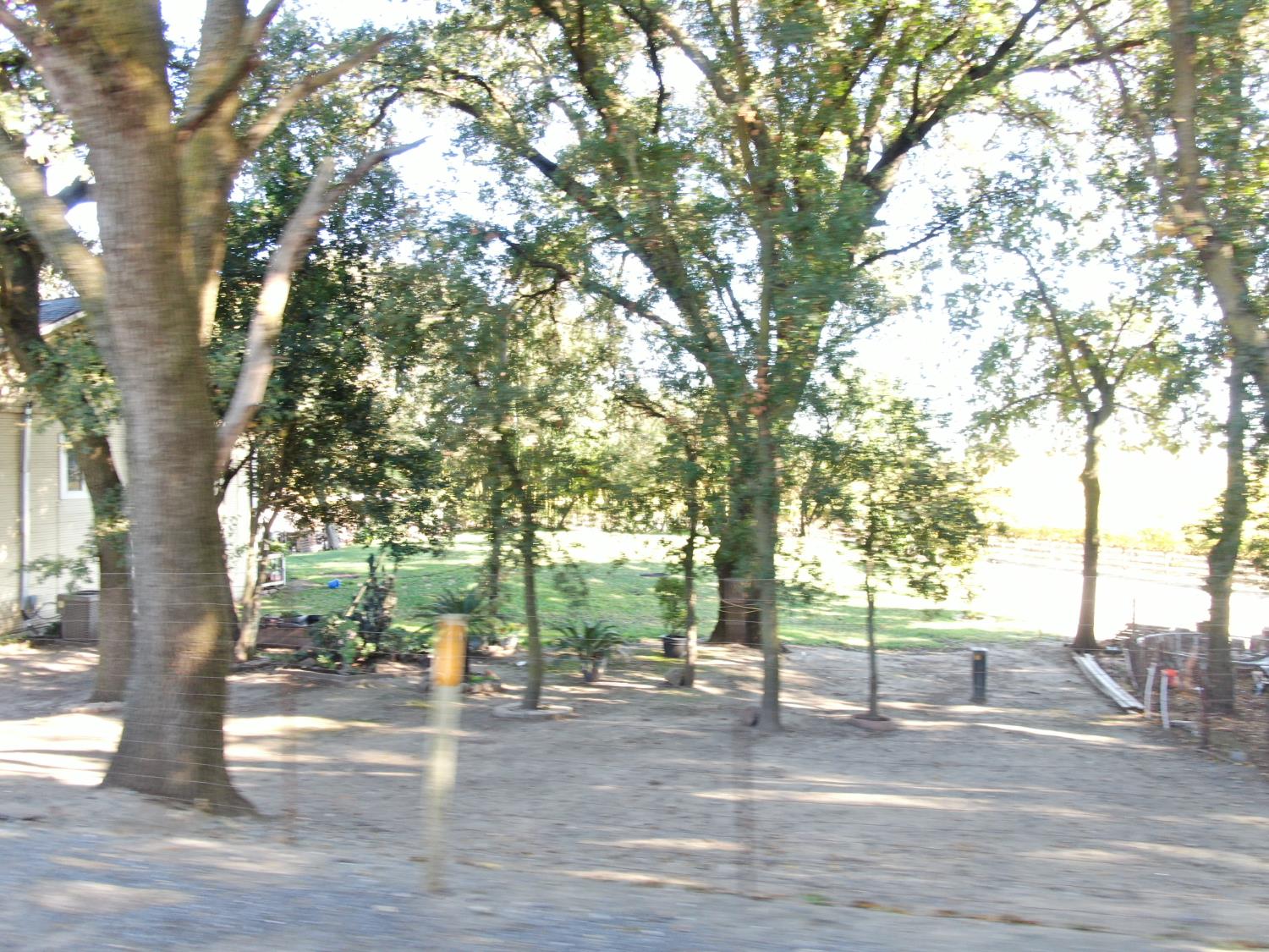 50725 Babel Slough Road Clarksburg, CA 95612 - Photo 15 of 19 a view of a yard with plants and trees