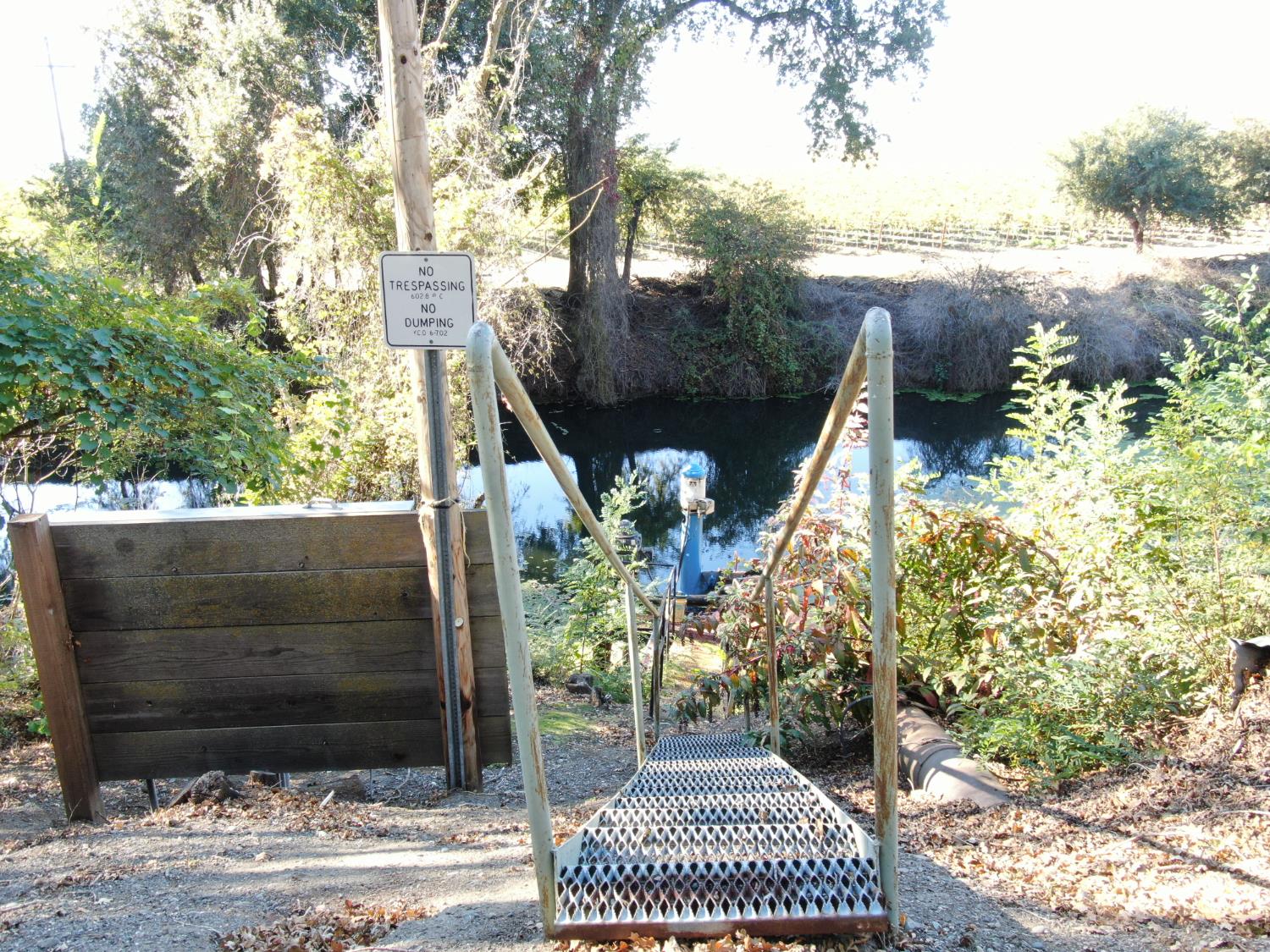 50725 Babel Slough Road Clarksburg, CA 95612 - Photo 17 of 19