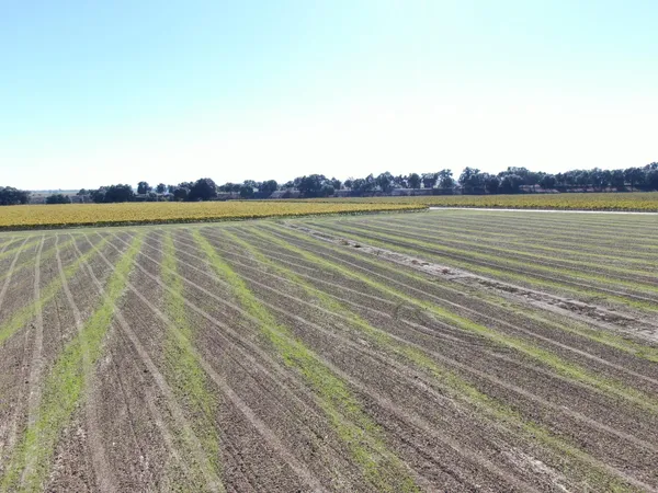 a view of lake and mountain