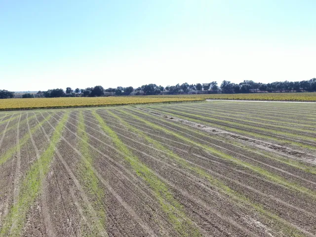a view of lake and mountain