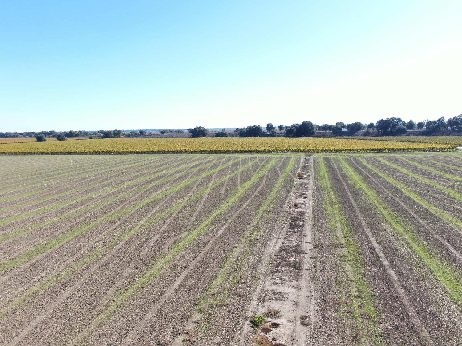 50725 Babel Slough Road Clarksburg, CA 95612 - Photo 5 of 19 a view of an ocean