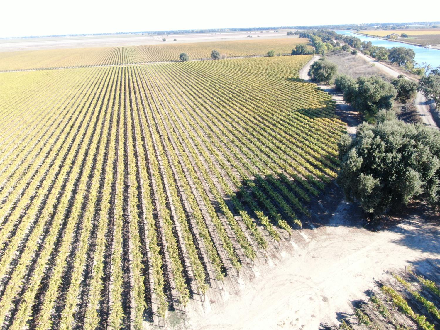 50725 Babel Slough Road Clarksburg, CA 95612 - Photo 6 of 19