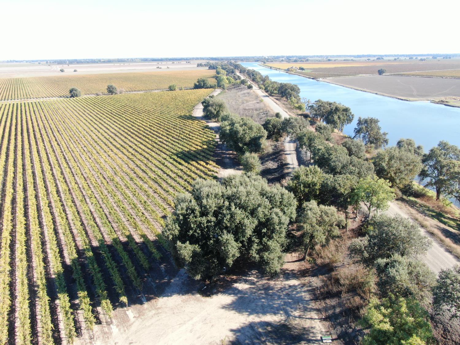 50725 Babel Slough Road Clarksburg, CA 95612 - Photo 7 of 19 a view of an outdoor space and city view
