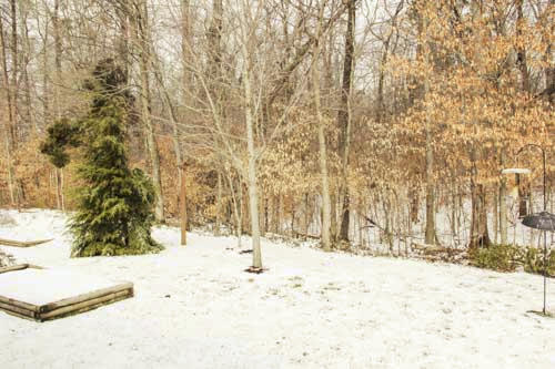 1215 Elsborn Ridge Road Maryville, TN 37801 - Photo 40 of 40 IMG_0443