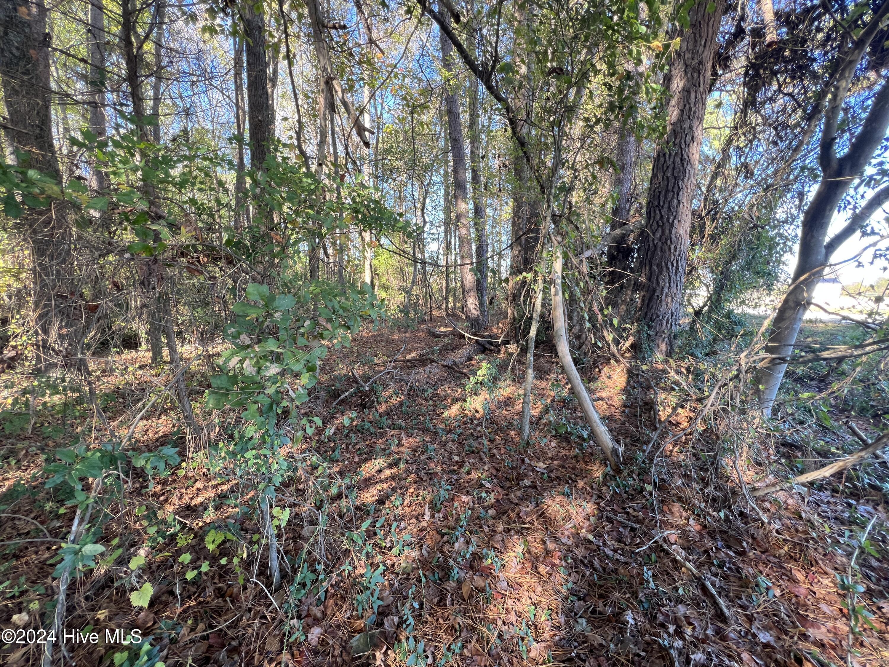 0 Springhill Church Road Lucama, NC 27851 - Photo 52 of 53 IMG_6784
