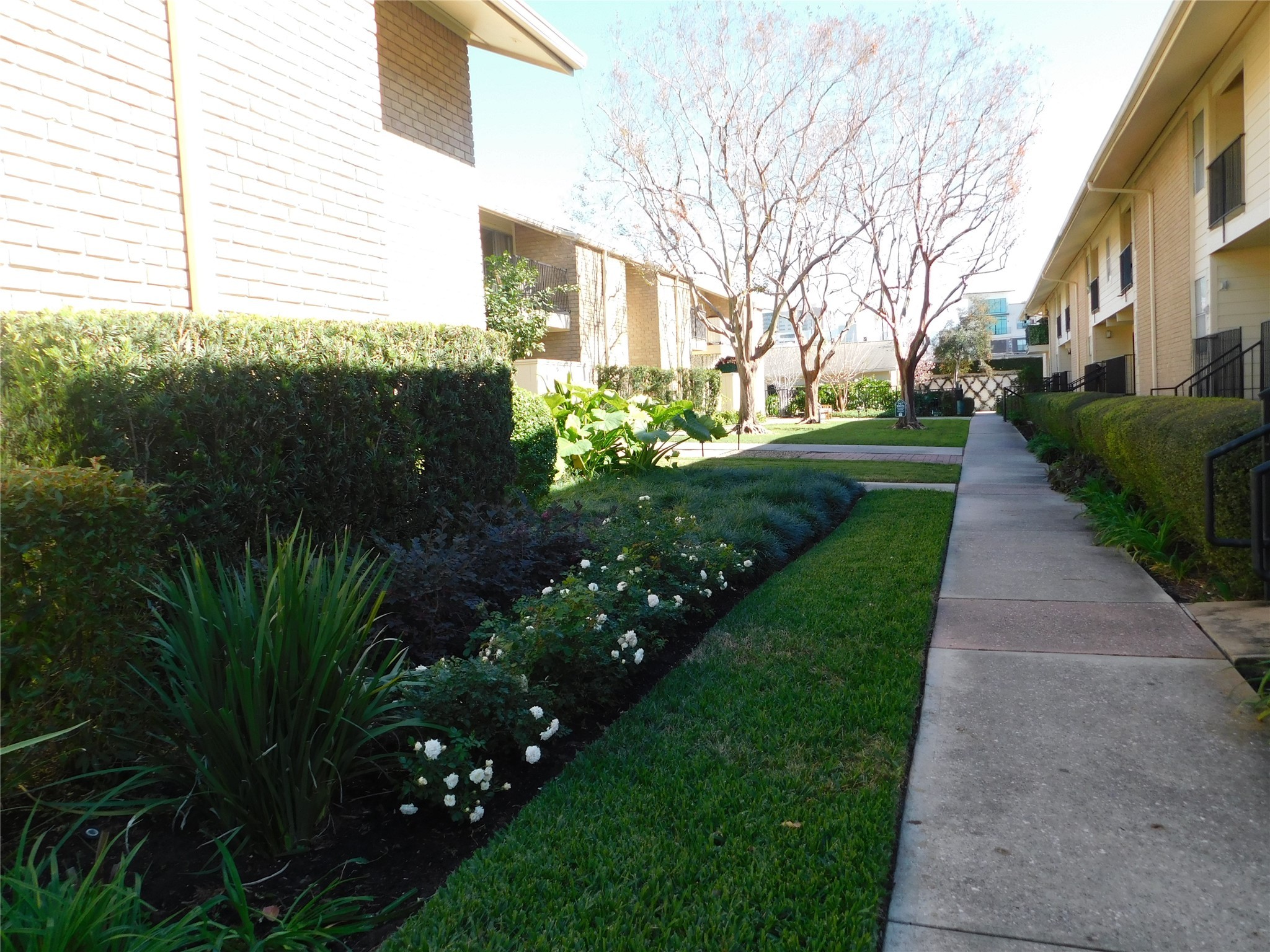 3131 Cummins Street, Unit 46 Houston, TX 77027 - Photo 8 of 8 a view of a garden with a house