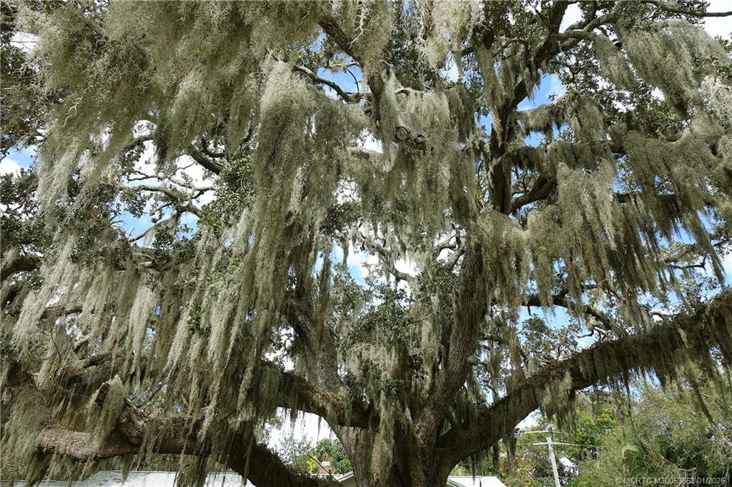 4 Miramar Road Sewall's Point, FL 34996 - Photo 31 of 31