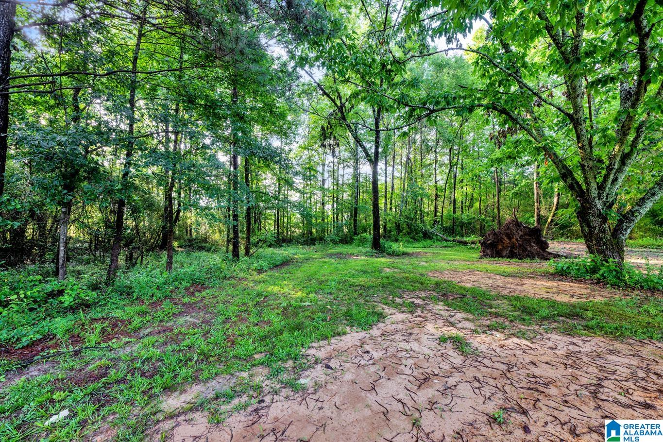 322 Empire Road Sumiton, AL 35148 - Photo 24 of 25