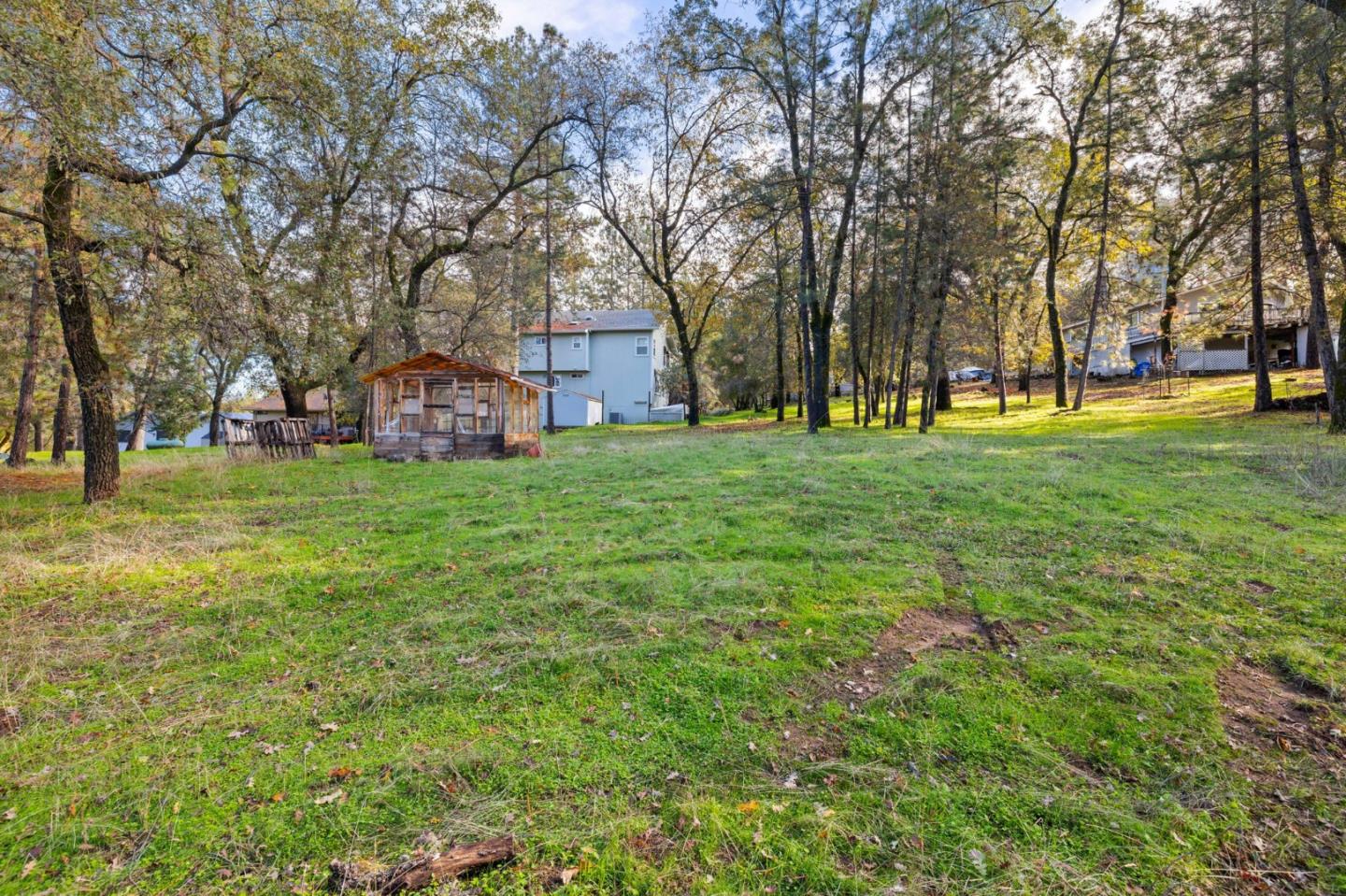 19307 Ferretti Road Groveland, CA 95321 - Photo 33 of 33 a view of a park with large trees