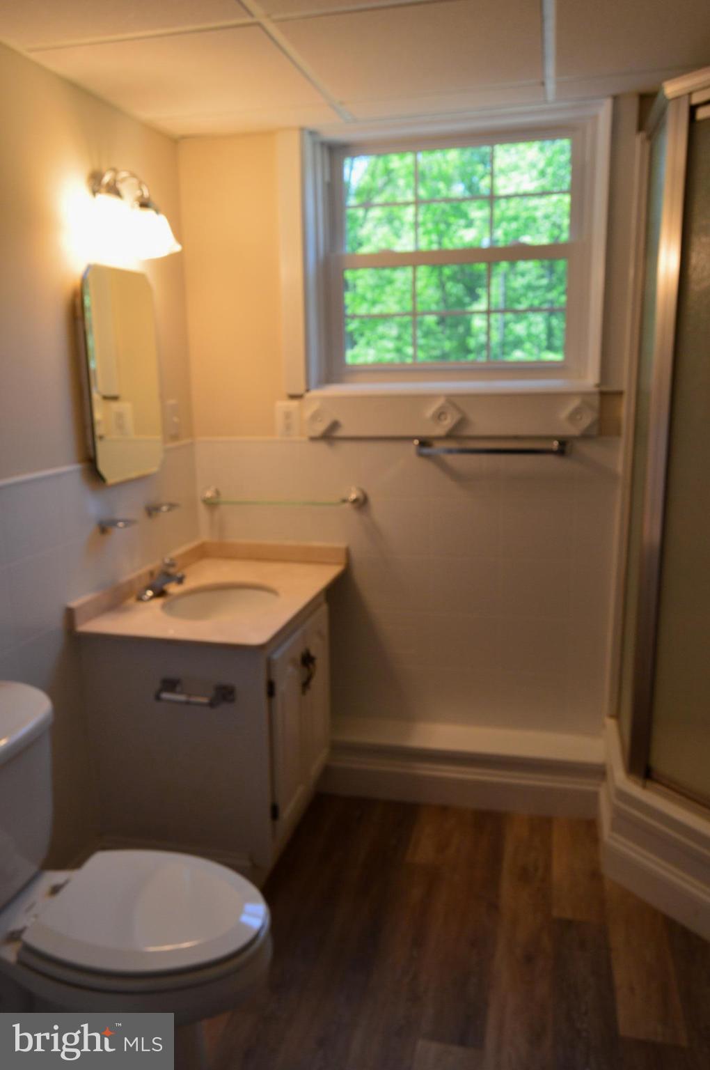 6034 Linden Road St. Leonard, MD 20685 - Photo 17 of 22 a bathroom with a toilet a sink and a mirror