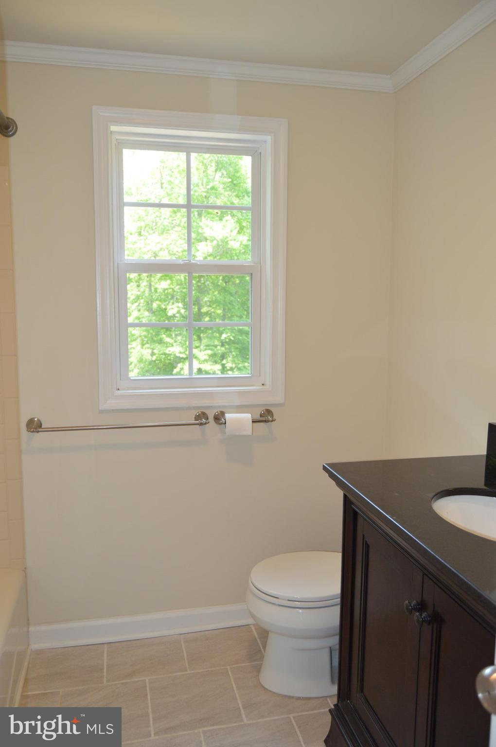 6034 Linden Road St. Leonard, MD 20685 - Photo 8 of 22 a bathroom with a sink a toilet and a window