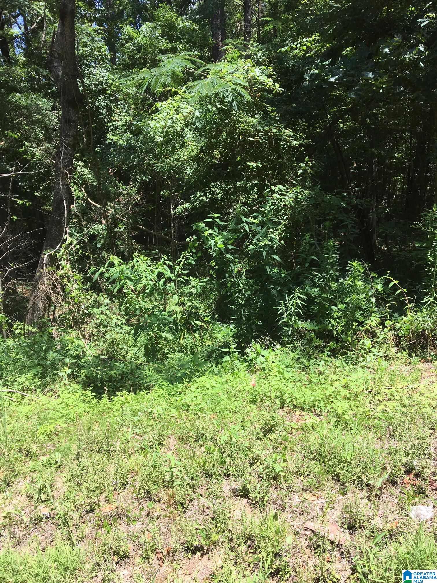 Mitchell Drive, Unit 11 Vance, AL 35490 - Photo 3 of 3