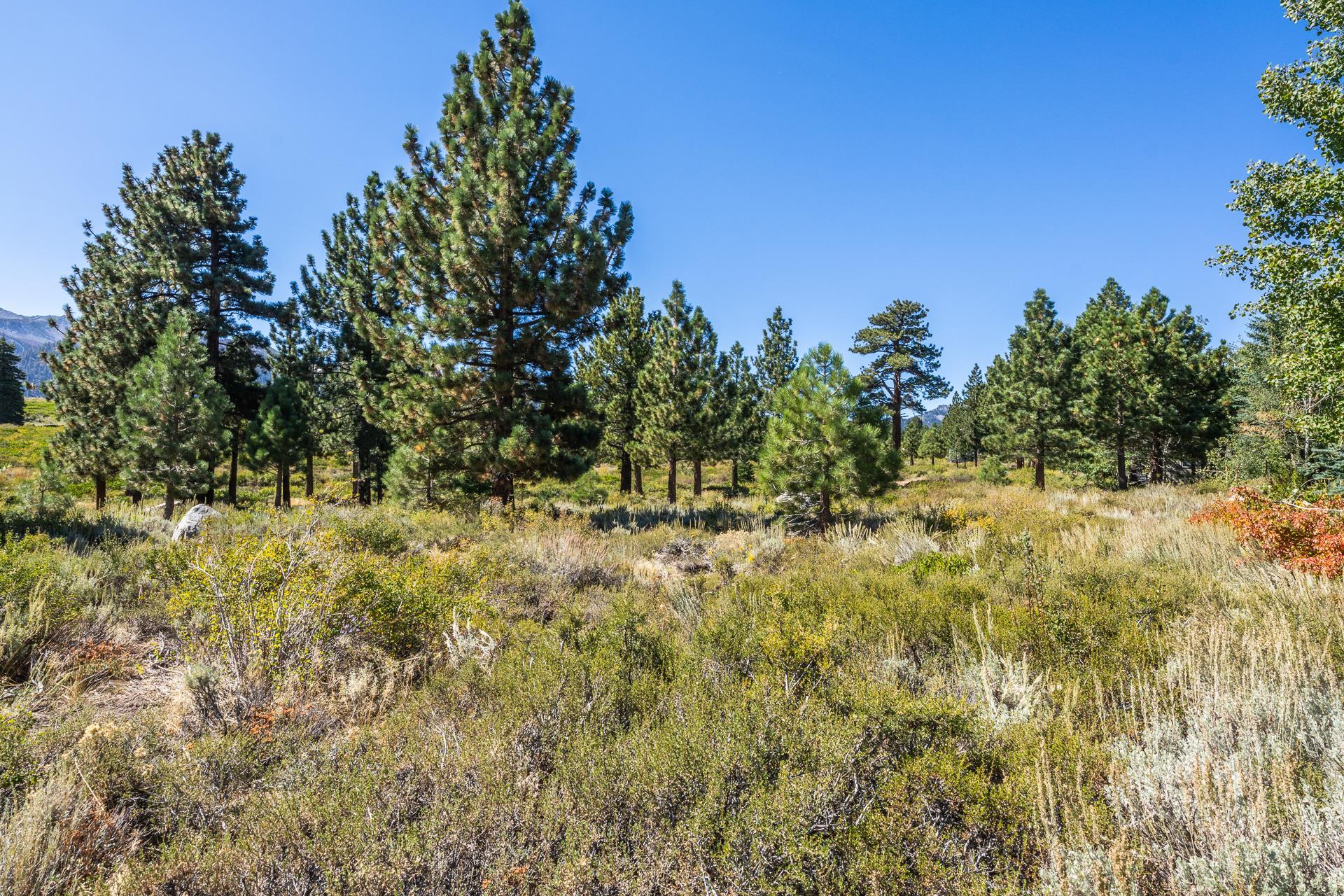 22 Hub Circle Mammoth Lakes, CA 93546 - Photo 13 of 17