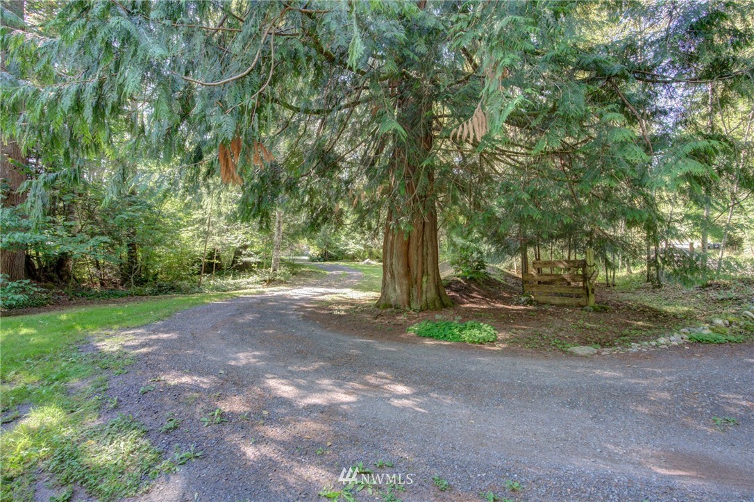 7565 Bear Ridge Way Maple Falls, WA 98266 - Photo 20 of 25 a view of a yard with large trees