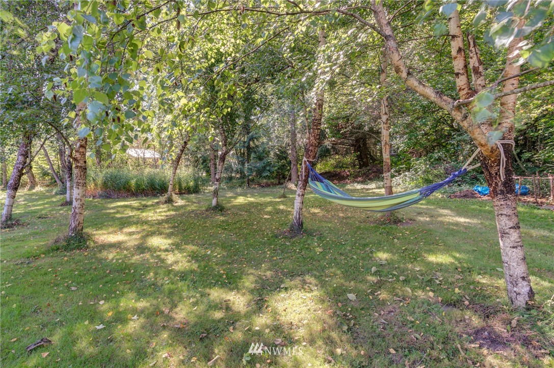 7565 Bear Ridge Way Maple Falls, WA 98266 - Photo 22 of 25 a backyard of water fountain with large trees