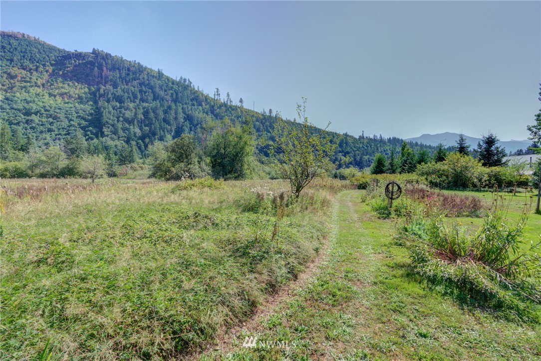 7565 Bear Ridge Way Maple Falls, WA 98266 - Photo 23 of 25 a view of a lush green forest with lots of trees