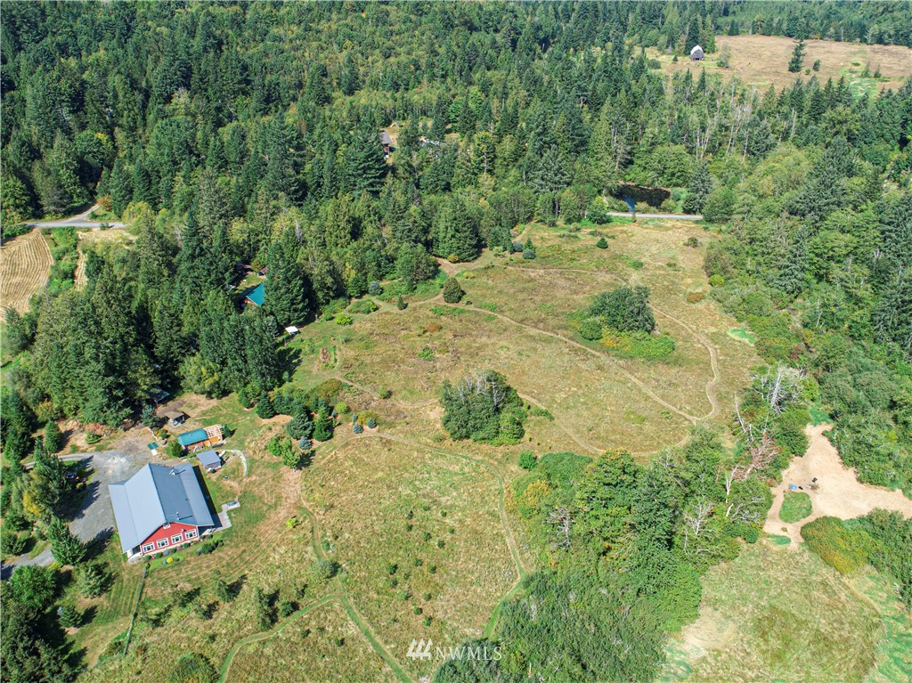 7565 Bear Ridge Way Maple Falls, WA 98266 - Photo 24 of 25 a view of a yard with plants and large trees