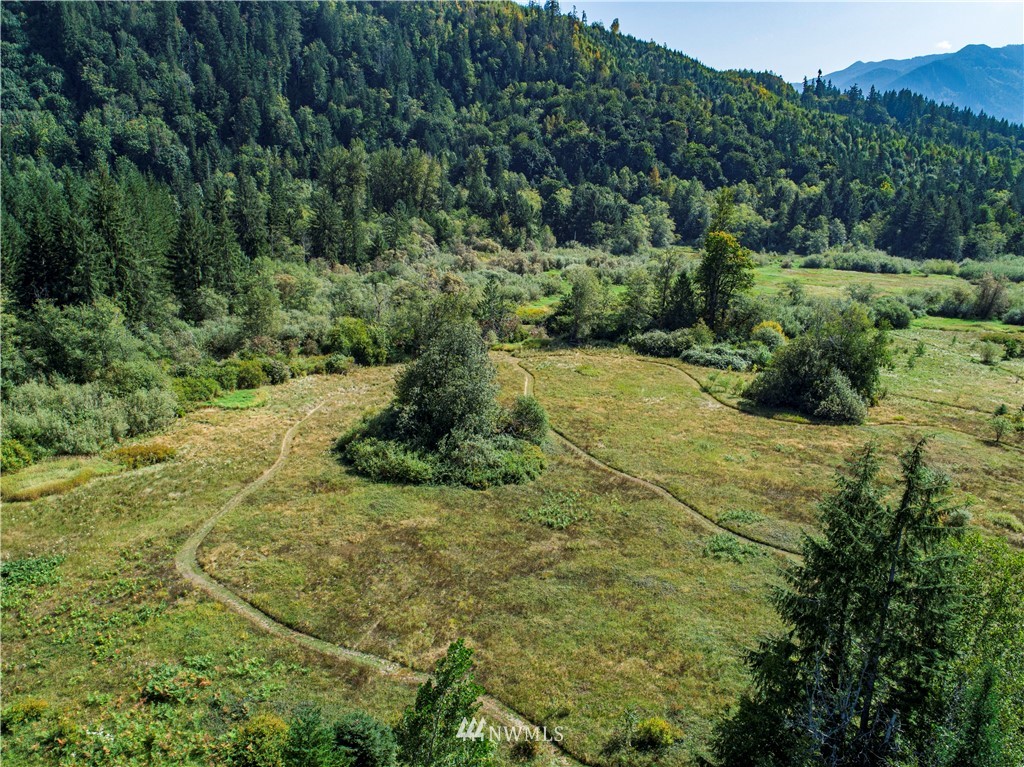 7565 Bear Ridge Way Maple Falls, WA 98266 - Photo 5 of 25 a view of an outdoor space