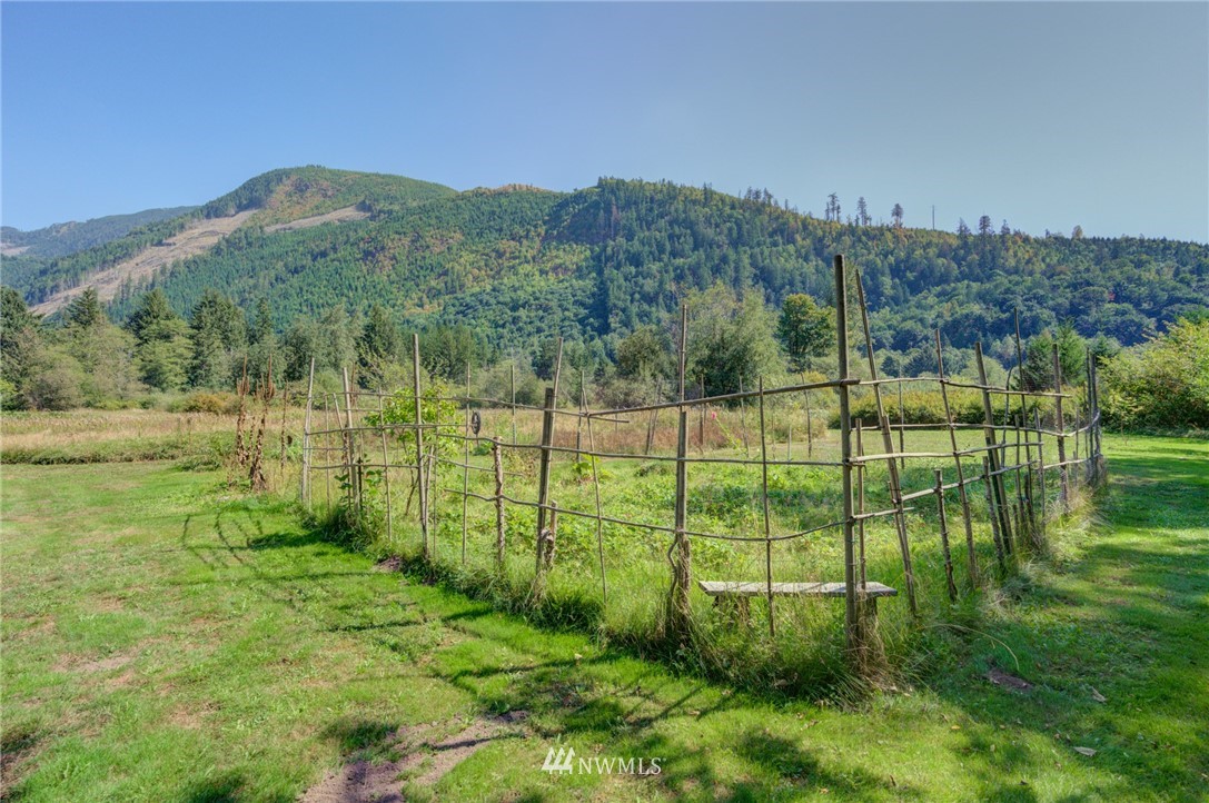 7565 Bear Ridge Way Maple Falls, WA 98266 - Photo 6 of 25 a view of a backyard