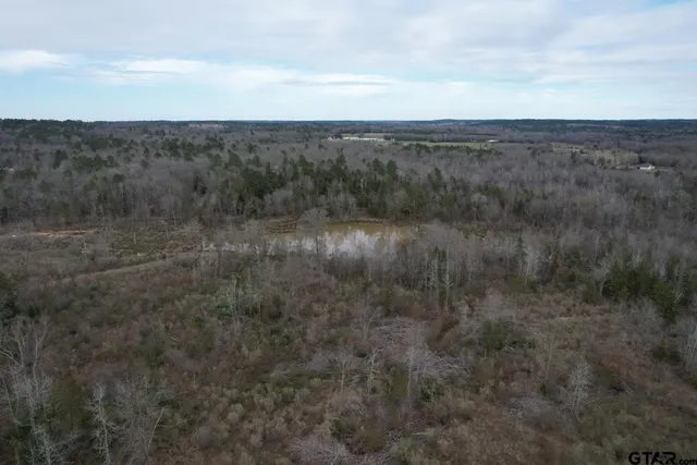 a view of a yard in a field