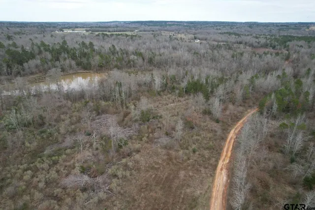 a view of a dry yard with green space