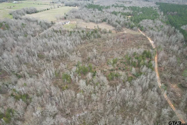 a close up of a field