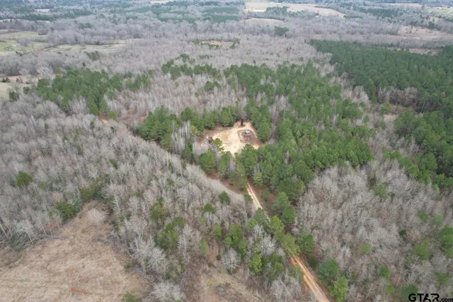 a backyard of a house with a yard and large tree