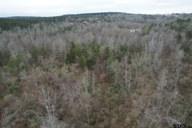a view of a dry field
