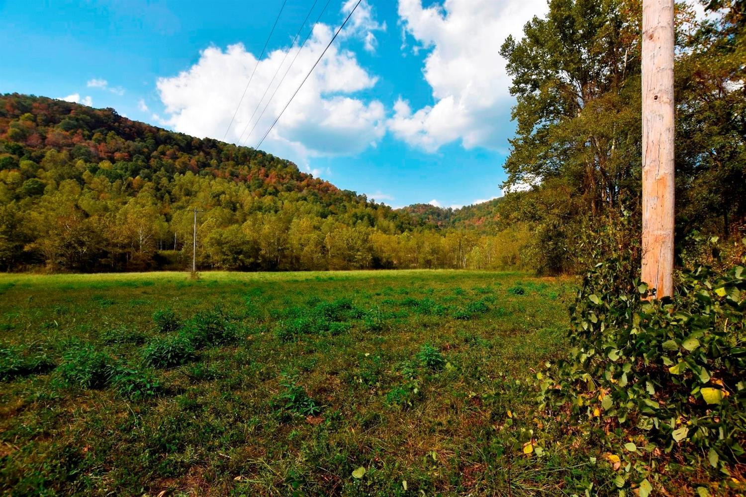 106 Middle Fork Road Irvine, KY 40336 - Photo 3 of 14 Electric is available for your future dr