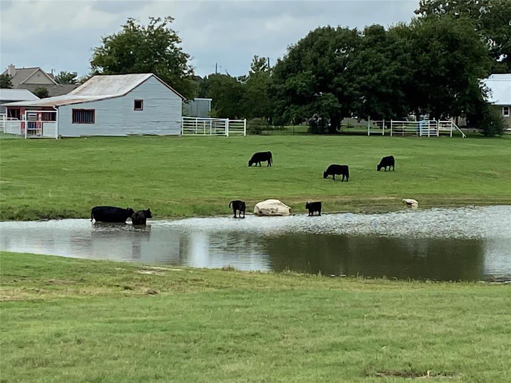 2196 Bledsoe Road Gunter, TX 75058 - Photo 30 of 33 a view of a house with a yard