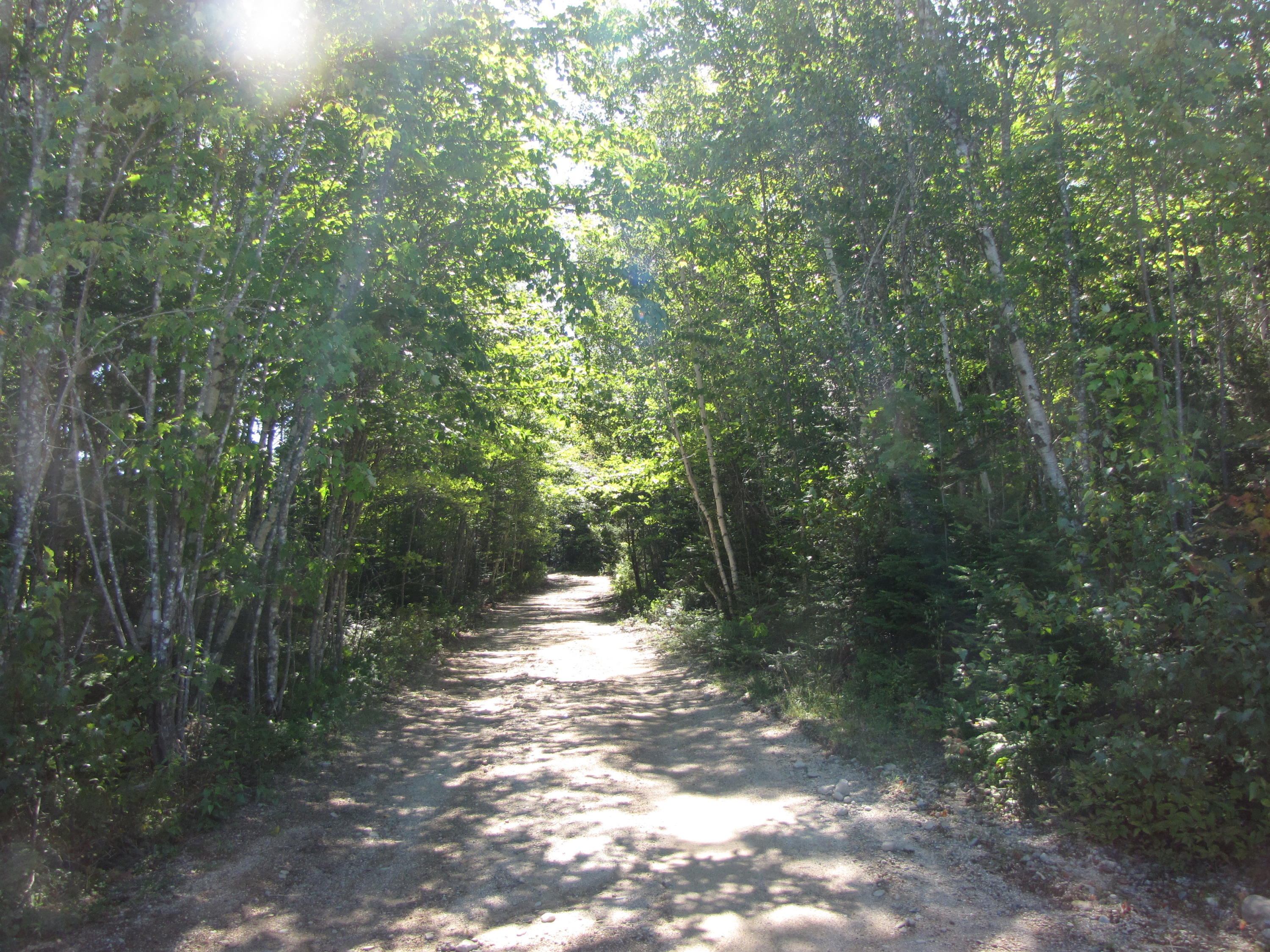 03 Plan Cherryfield, ME 04622 - Photo 19 of 36 IMG_0445