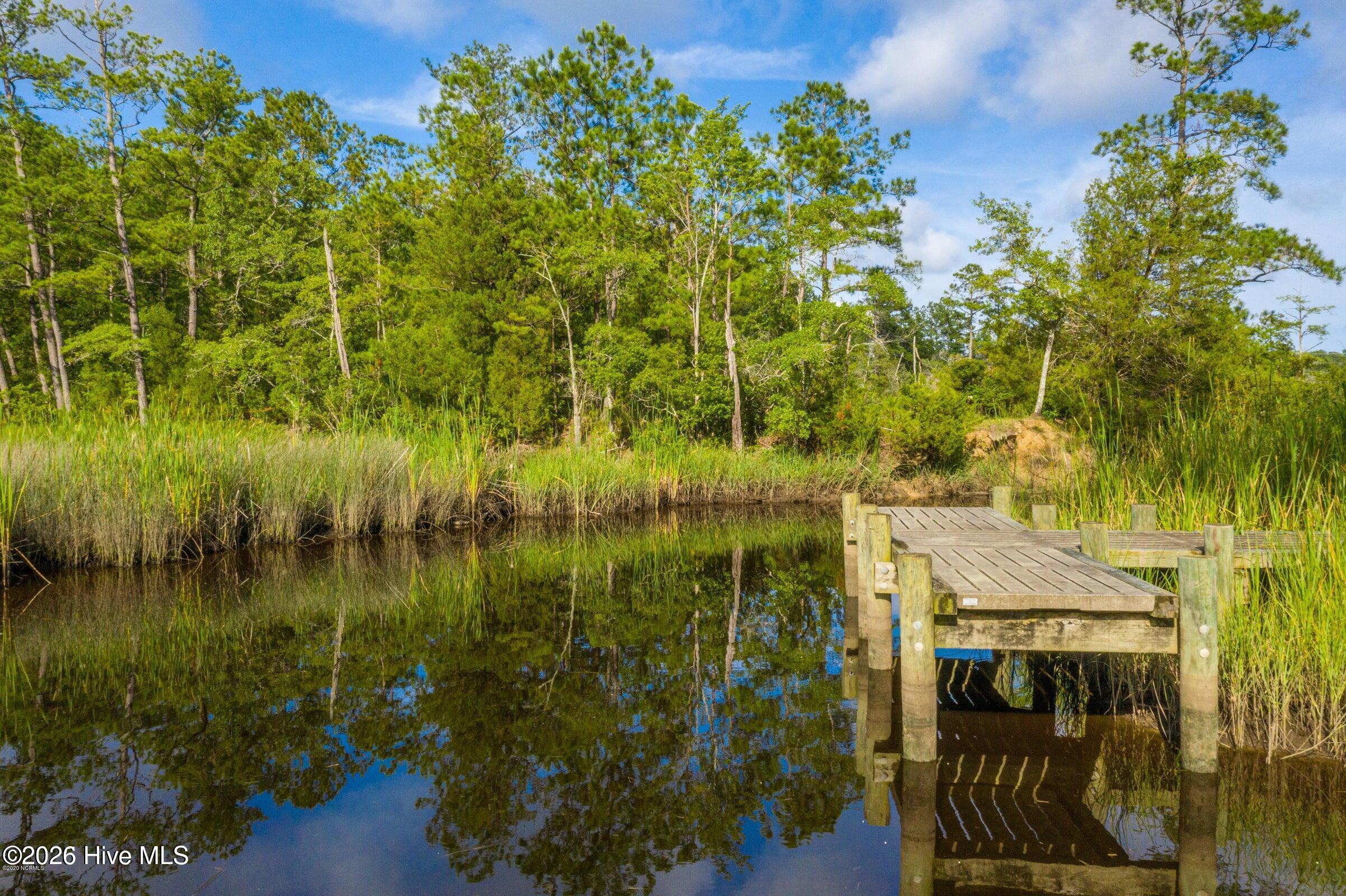 306 Joans Ridge Stella, NC 28582 - Photo 3 of 10 dock