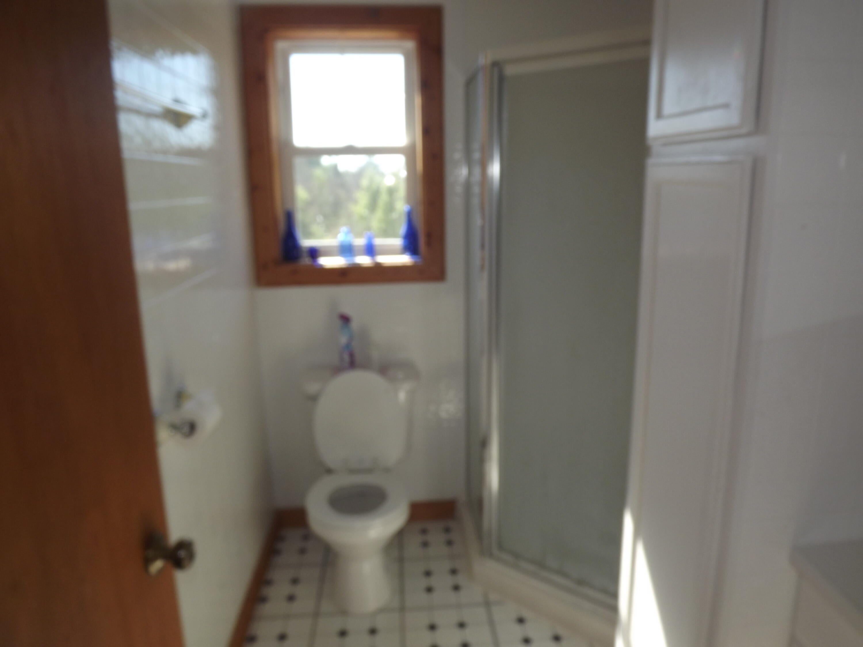 12250 Afton Road Wolverine, MI 49799 - Photo 33 of 69 Gallery Image 33