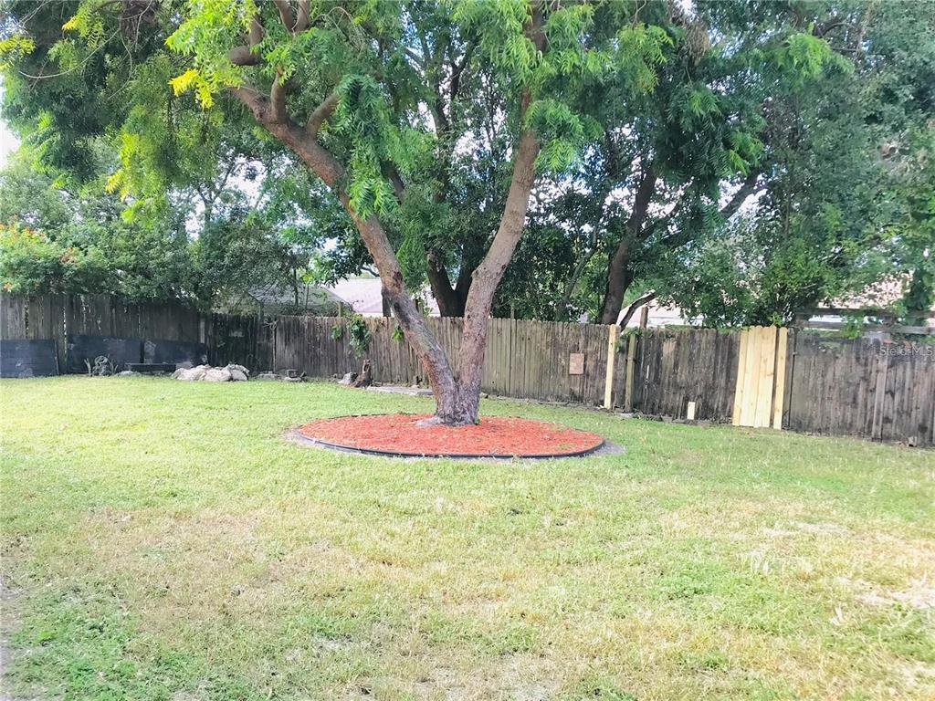 7045 Lassen Avenue New Port Richey, FL 34655 - Photo 37 of 38