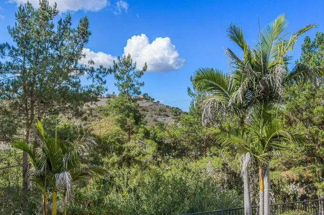 a close up of a plant in a garden