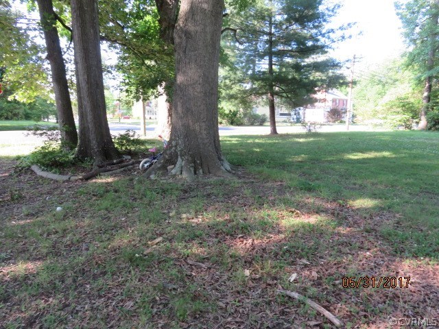2808 West City Point Road Hopewell, VA 23860 - Photo 6 of 10 a view of a trees in a yard