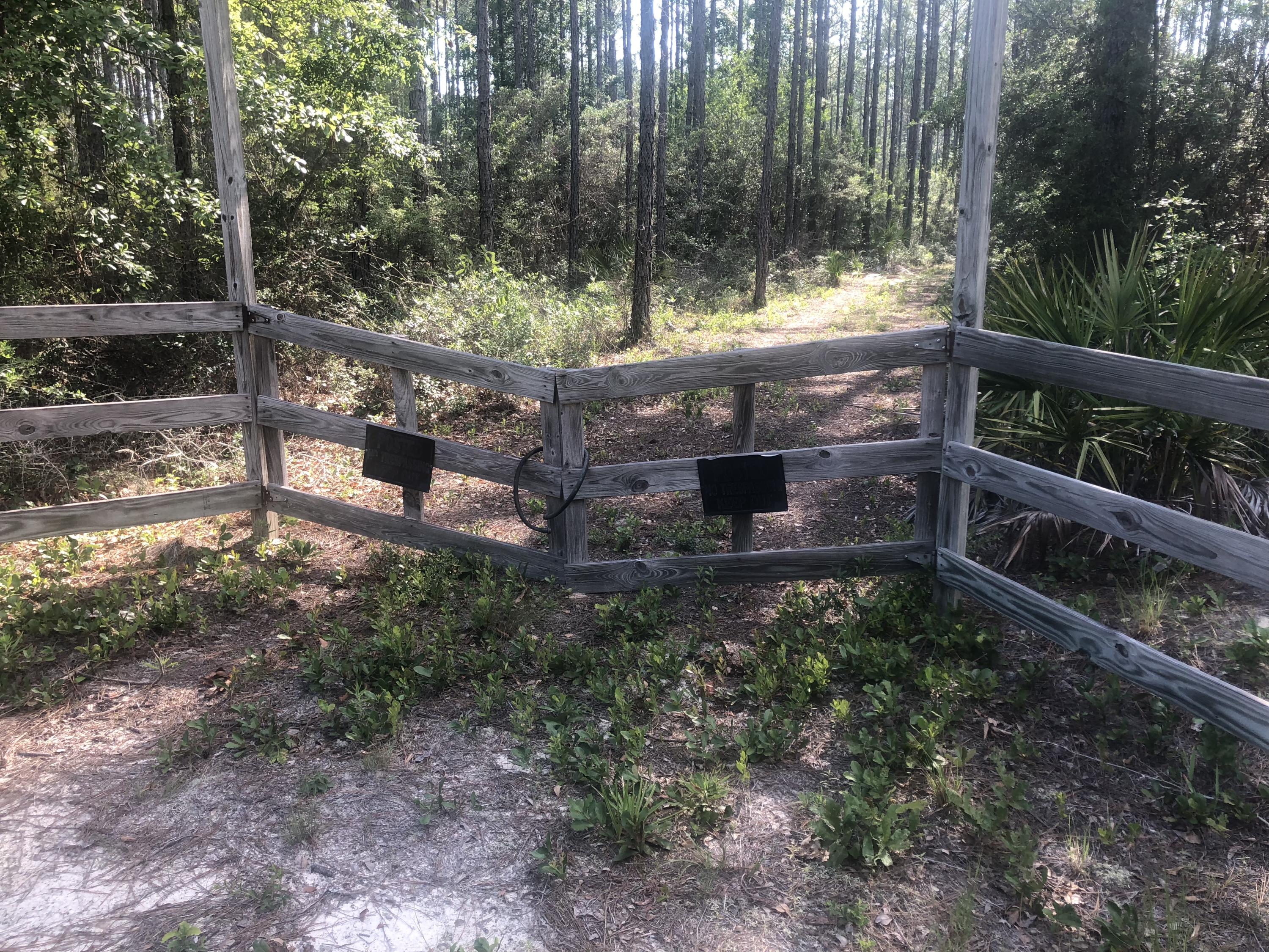 Xxx Saunders Road Freeport, FL 32439 - Photo 2 of 15 Gallery Image 2
