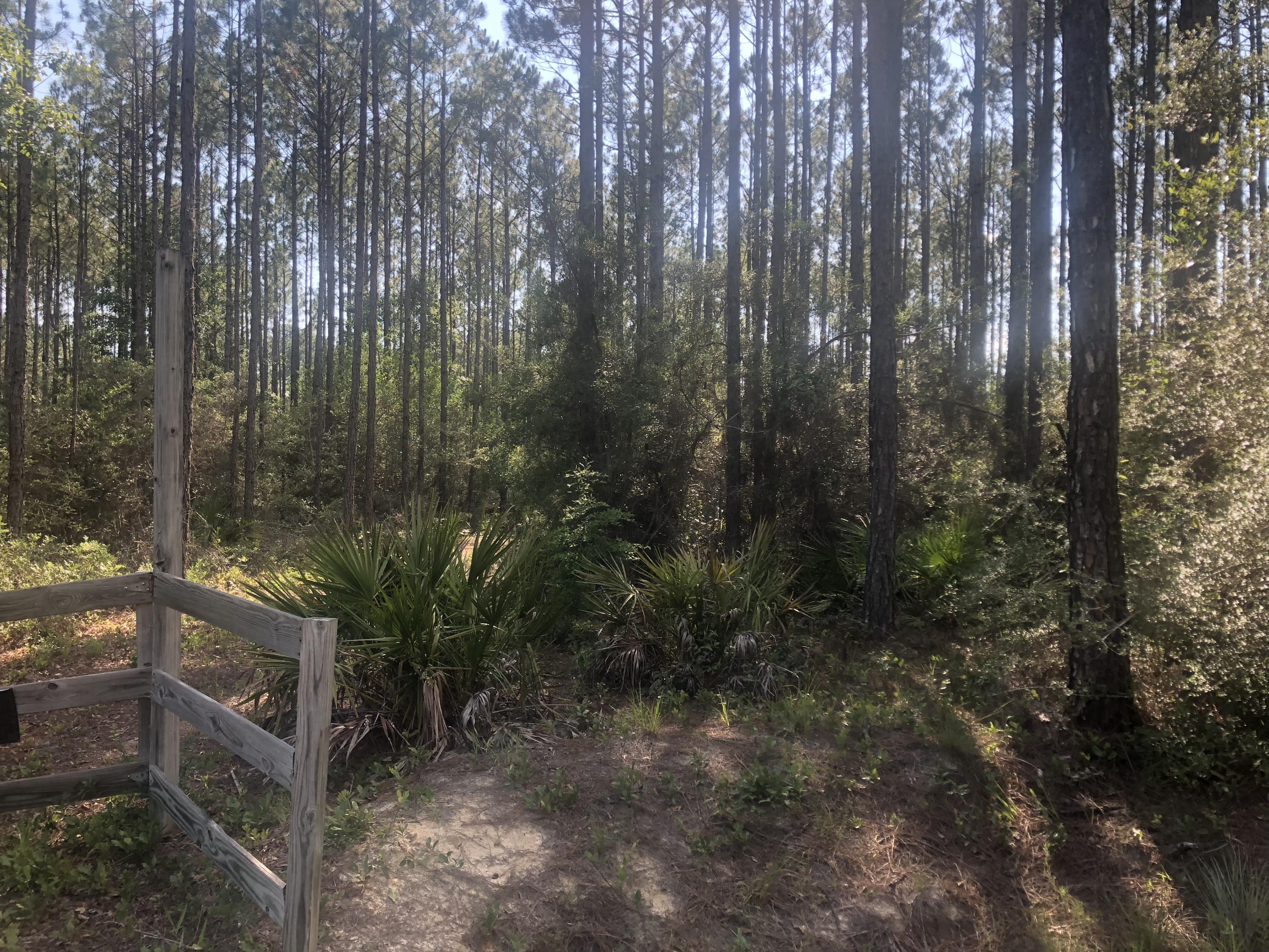 Xxx Saunders Road Freeport, FL 32439 - Photo 12 of 15 Gallery Image 12