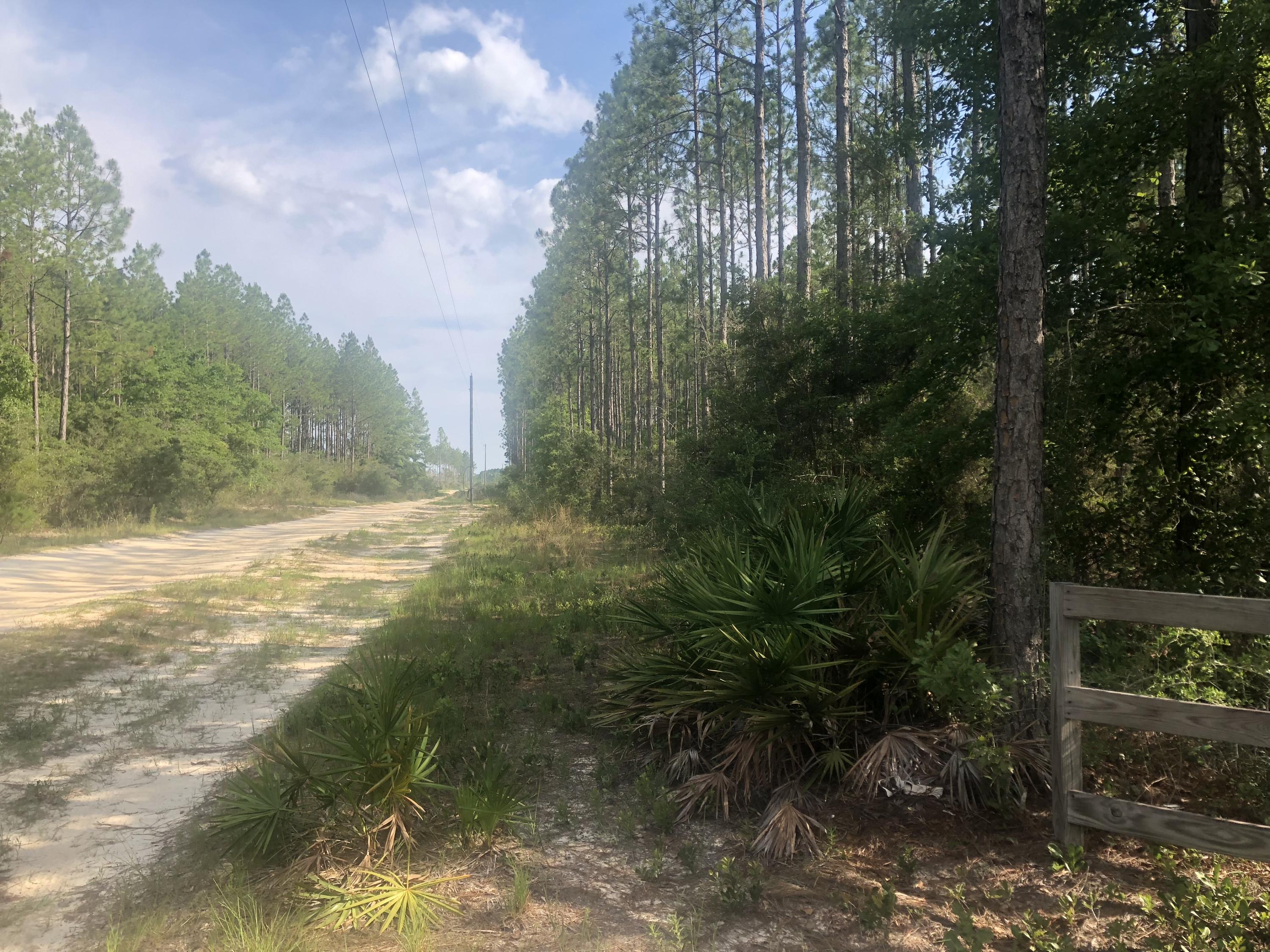 Xxx Saunders Road Freeport, FL 32439 - Photo 13 of 15 Gallery Image 13