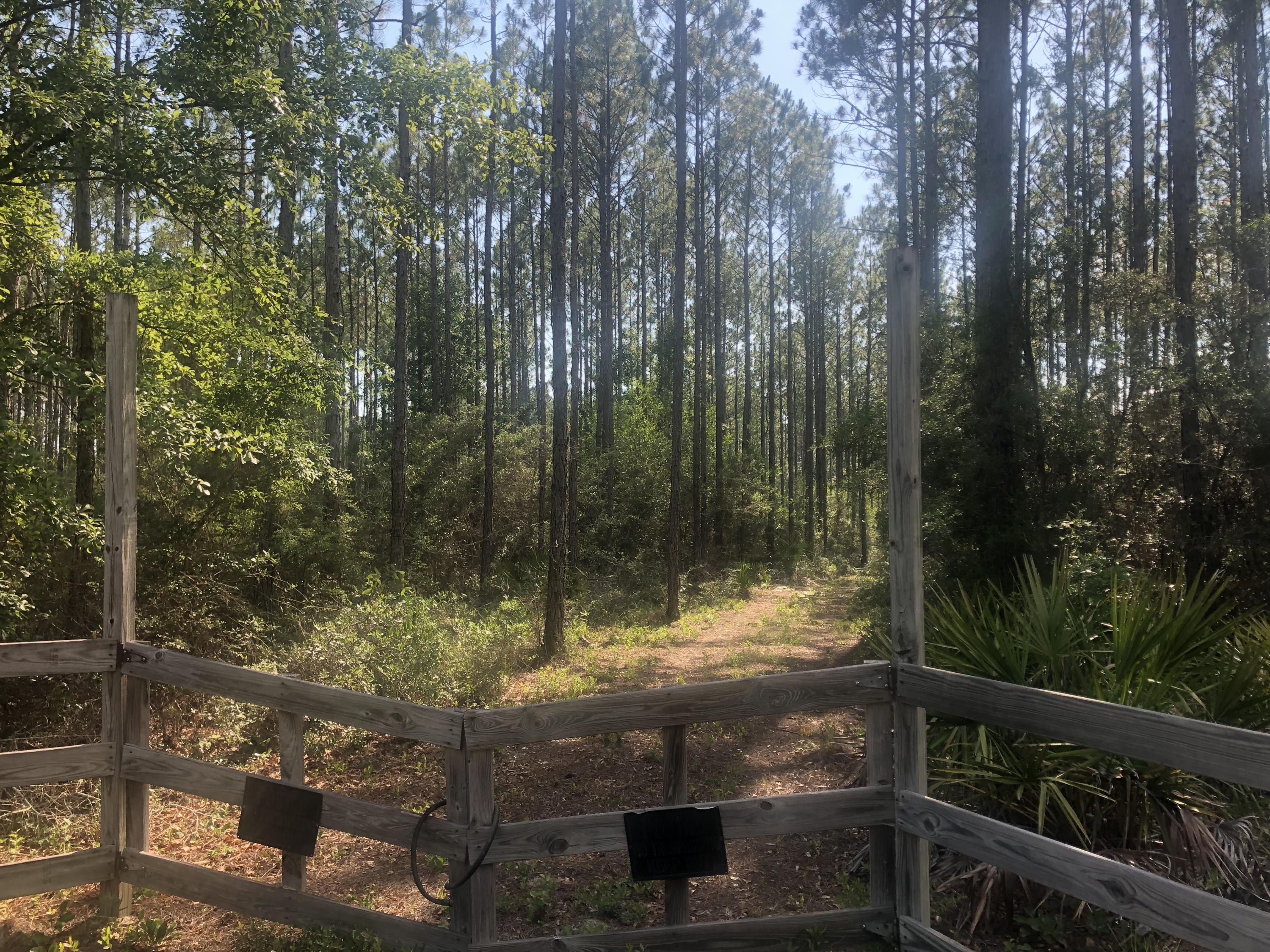 Xxx Saunders Road Freeport, FL 32439 - Photo 14 of 15 Gallery Image 14
