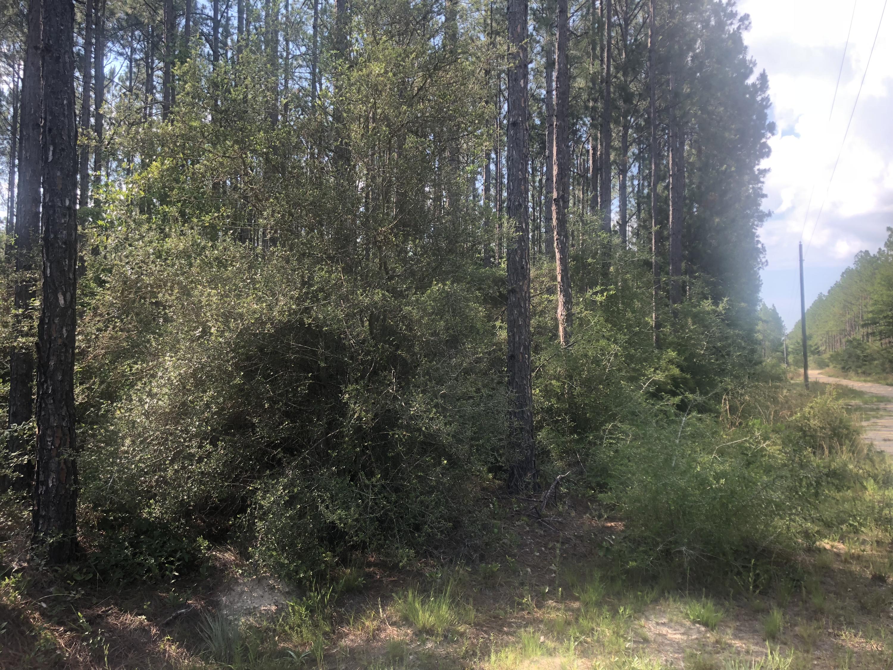 Xxx Saunders Road Freeport, FL 32439 - Photo 15 of 15 Gallery Image 15