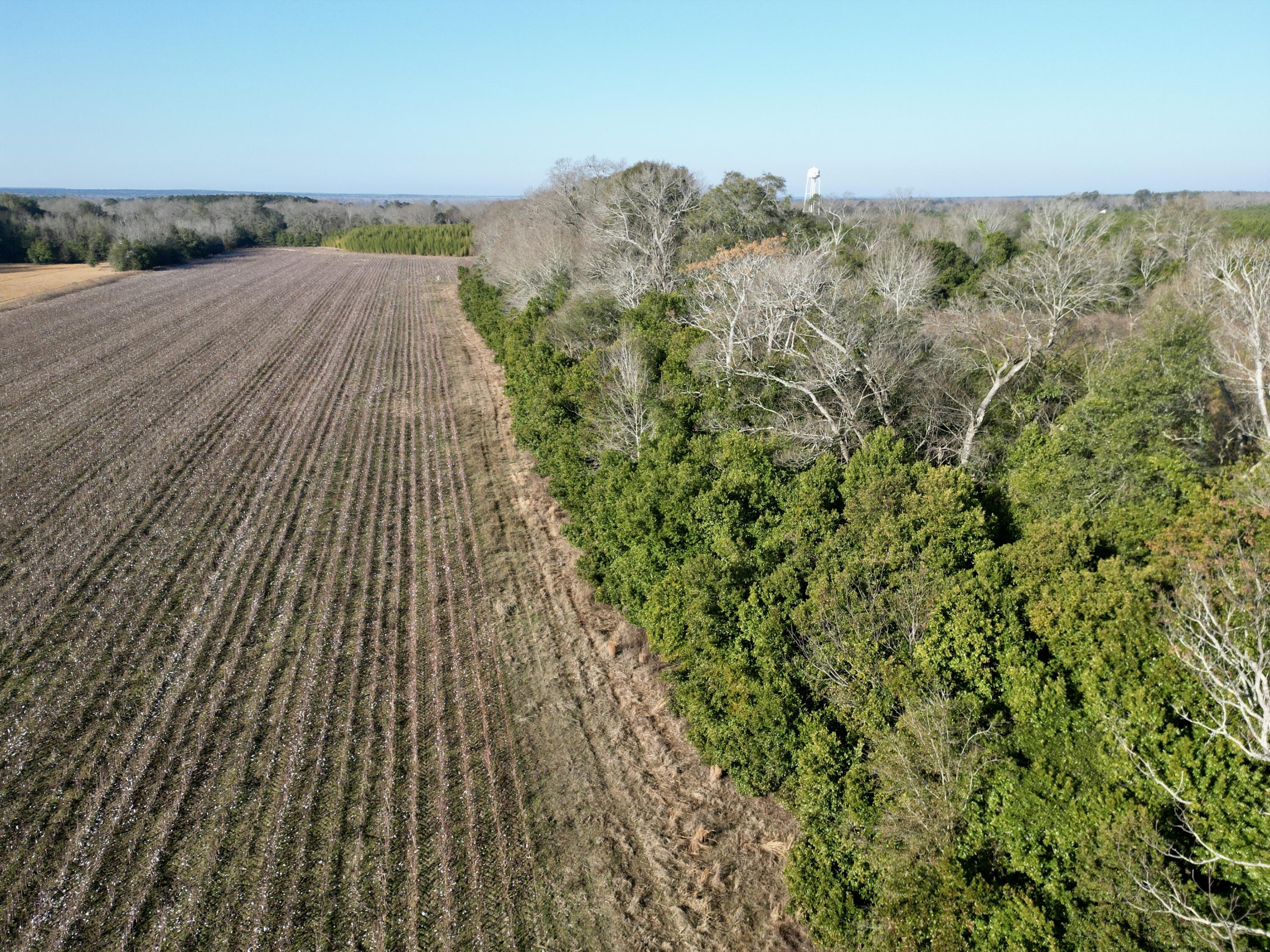 0 Barnwell Street Springfield, SC 29146 - Photo 14 of 56 14