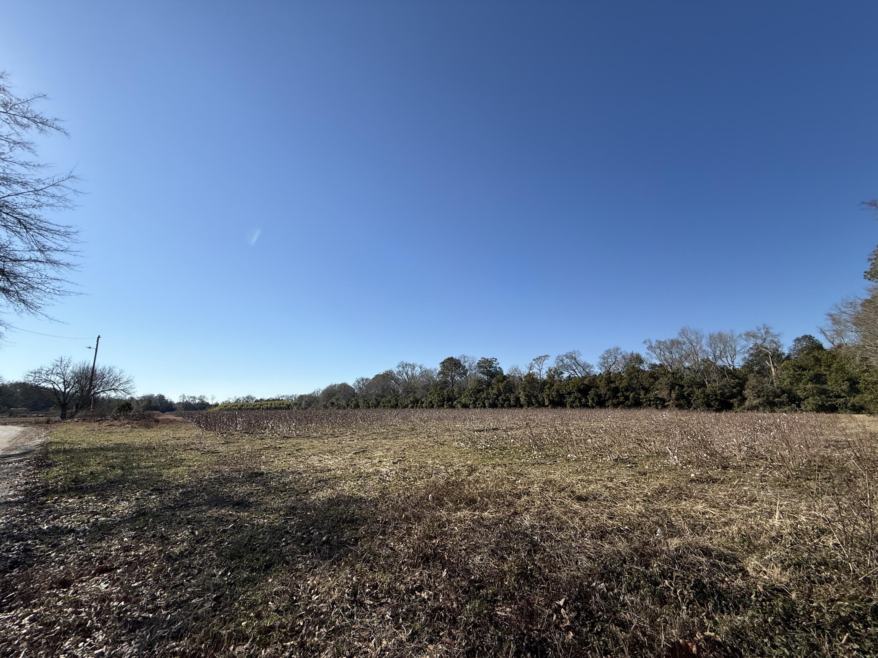 0 Barnwell Street Springfield, SC 29146 - Photo 16 of 56 IMG_4713