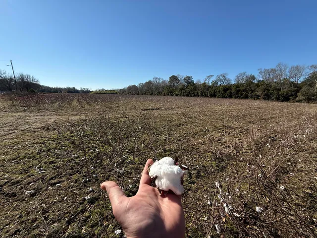 $160,000 | 0 Barnwell Street, Springfield, SC 29146