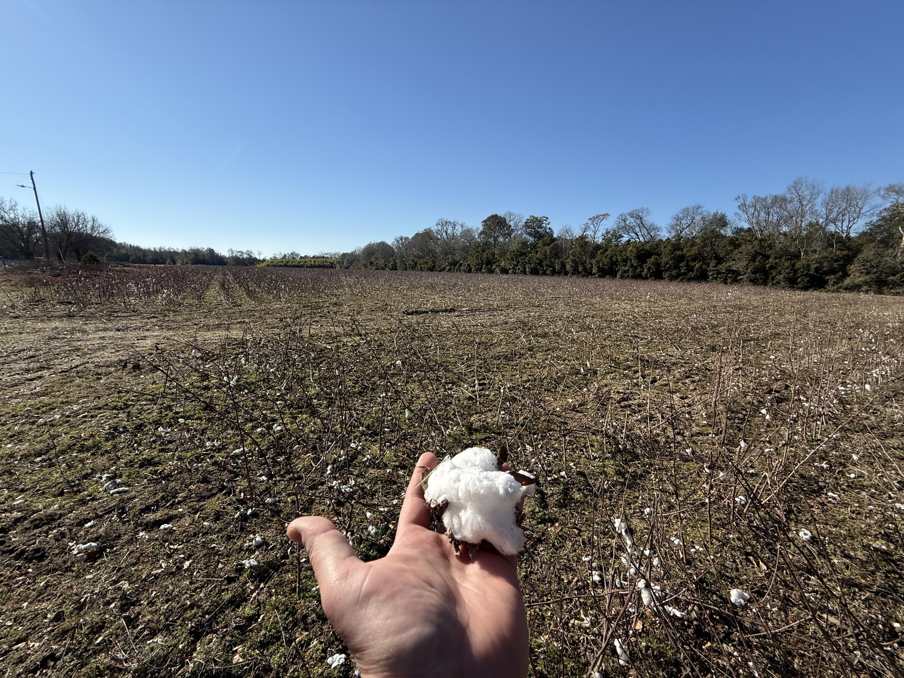 0 Barnwell Street Springfield, SC 29146 - Photo 17 of 56 IMG_4714