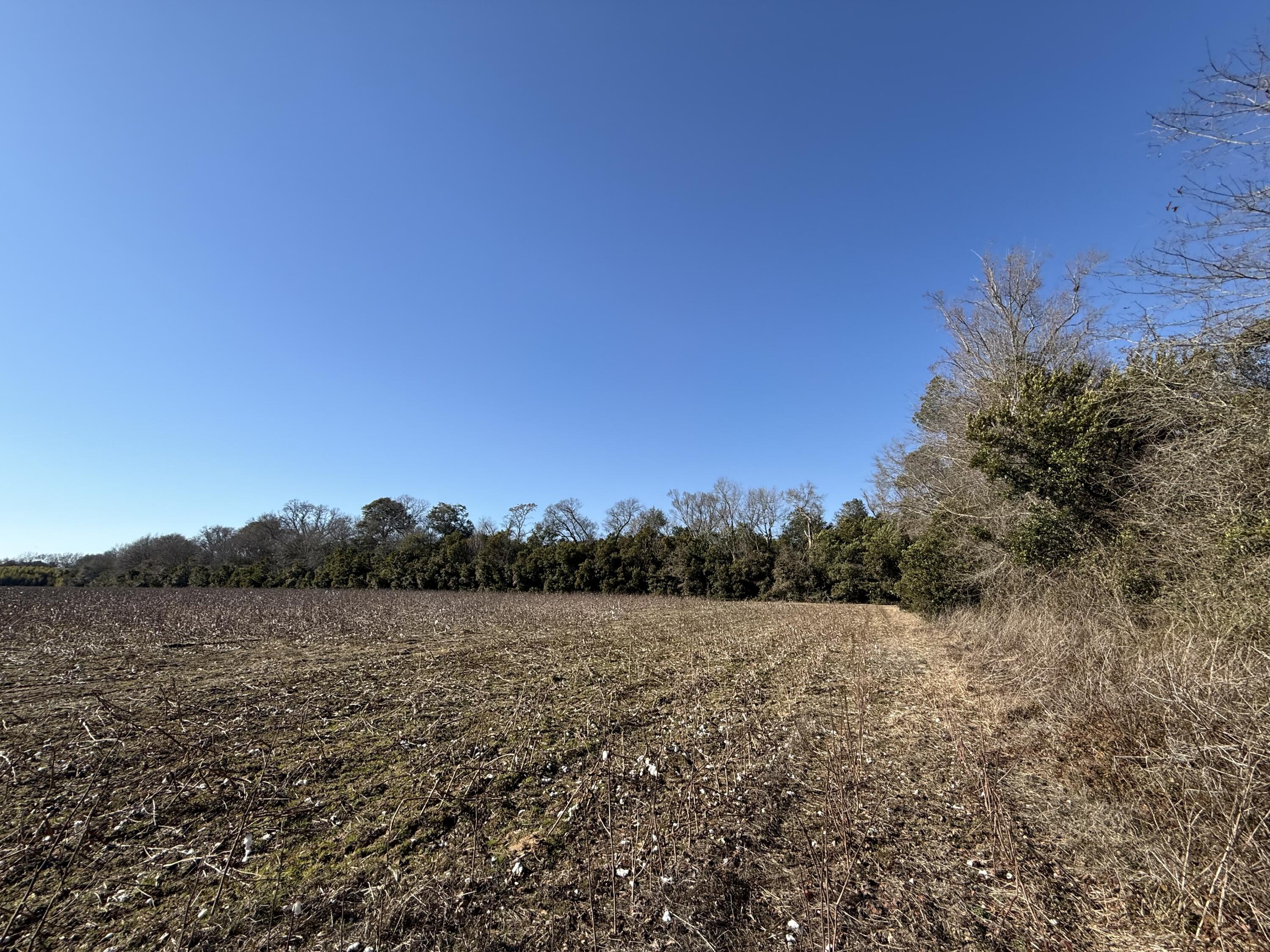 0 Barnwell Street Springfield, SC 29146 - Photo 18 of 56 IMG_4715