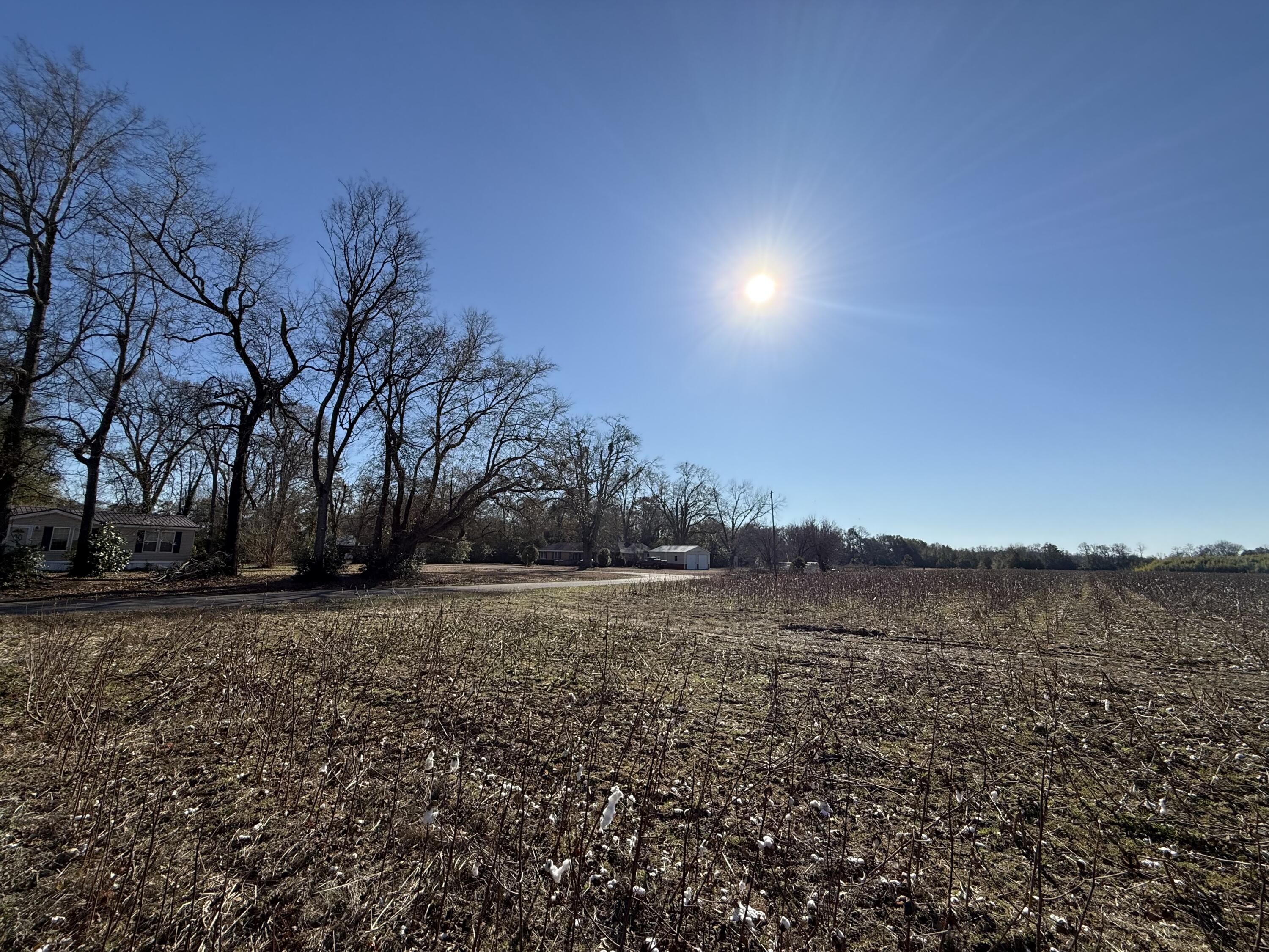 0 Barnwell Street Springfield, SC 29146 - Photo 21 of 56 IMG_4718
